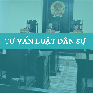 tu-van-luat-dan-su