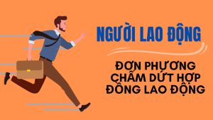 Don phuong cham dut hop dong lao dong scaled 1